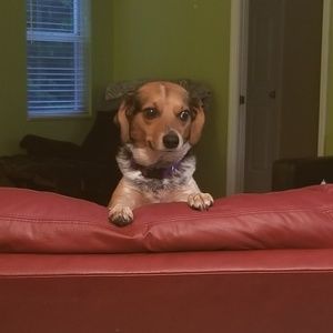 Meet your Posher, Ashleigh